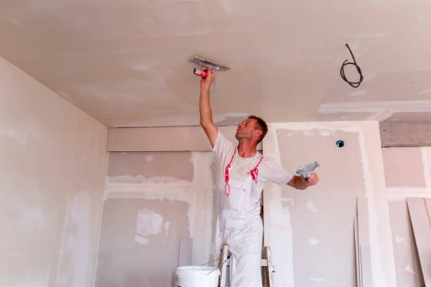 Best Painting for New Construction  in USA